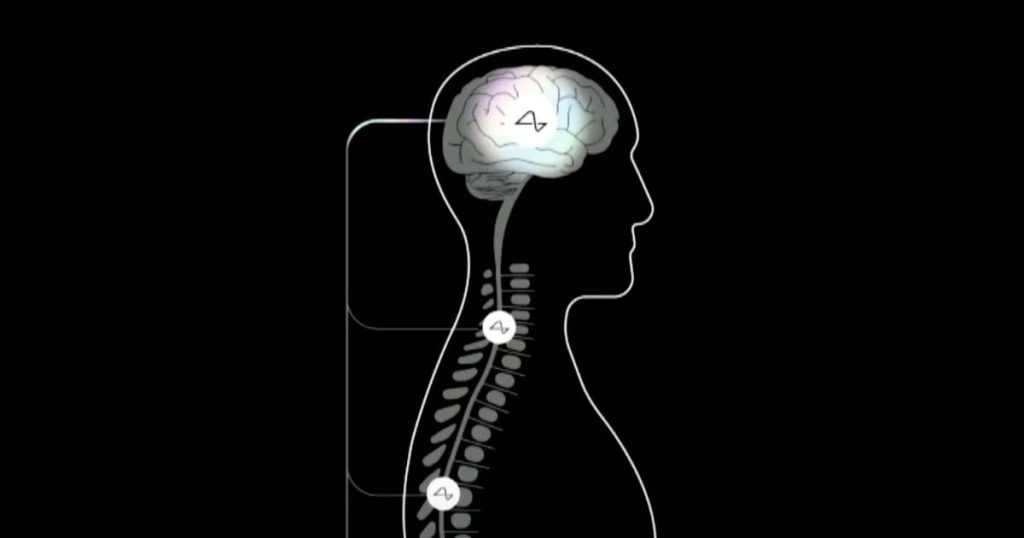Neuralink’s Upgraded Brain Chip Hopes to Help the Blind See and the Paralyzed Walk