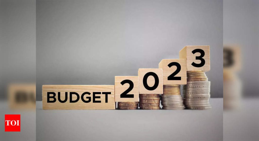 Budget 2023: Wishlist of best tech execs for hardware, cybersecurity and electronics business