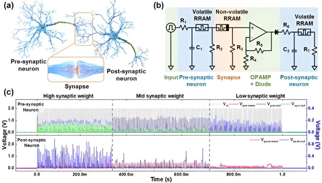 Implementing artificial neural network hardware systems by stacking them like ‘neuron-synapse-neuron’ structural blocks Implementing artificial neural network hardware systems by stacking them like ‘neuron-synapse-neuron’ structural blocks