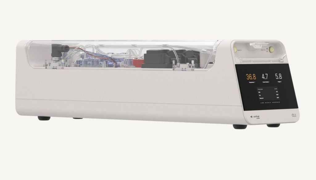 A Computer With 800,000 Human Neurons